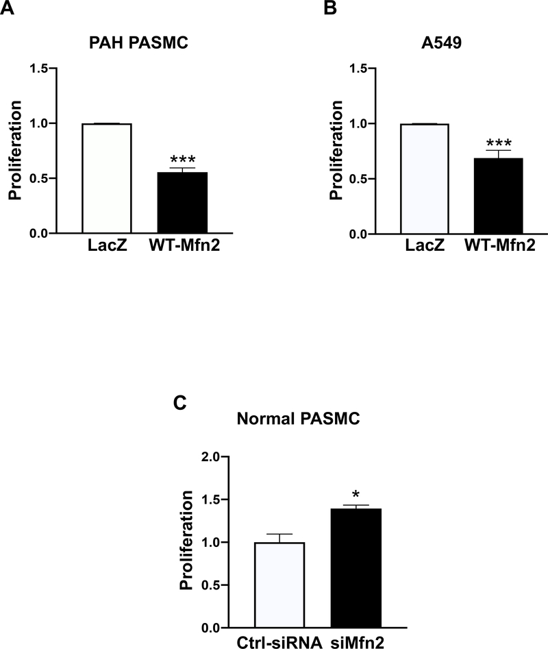 Figure 2: