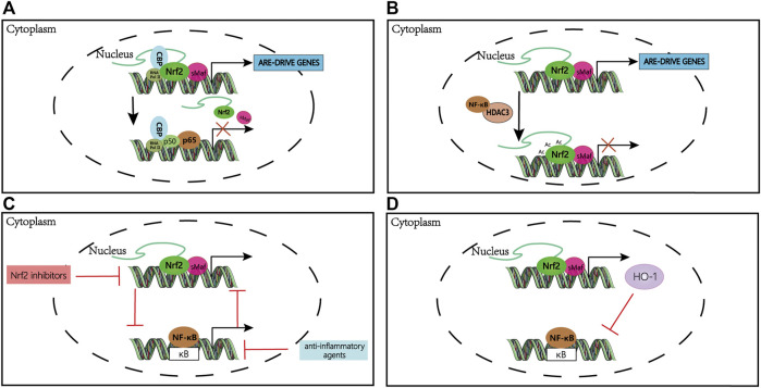 FIGURE 3