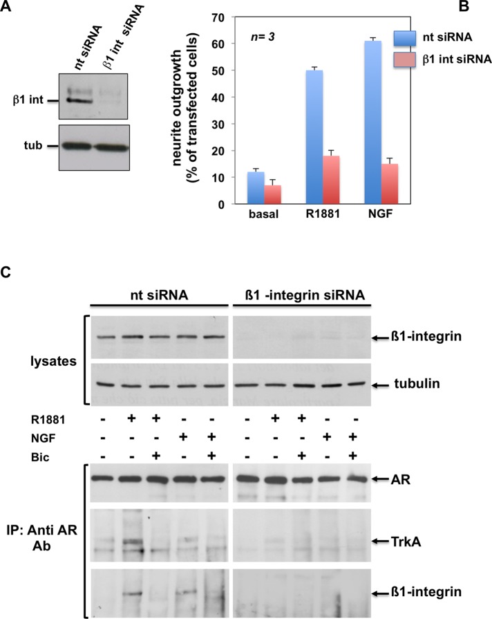 FIGURE 9: