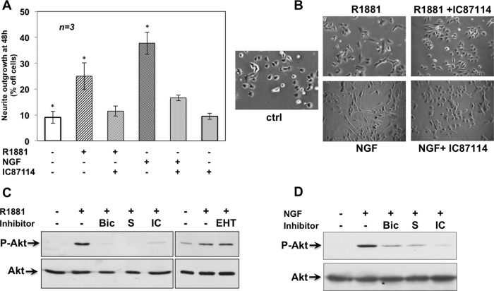 FIGURE 7: