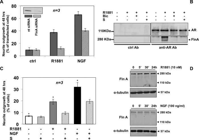 FIGURE 5: