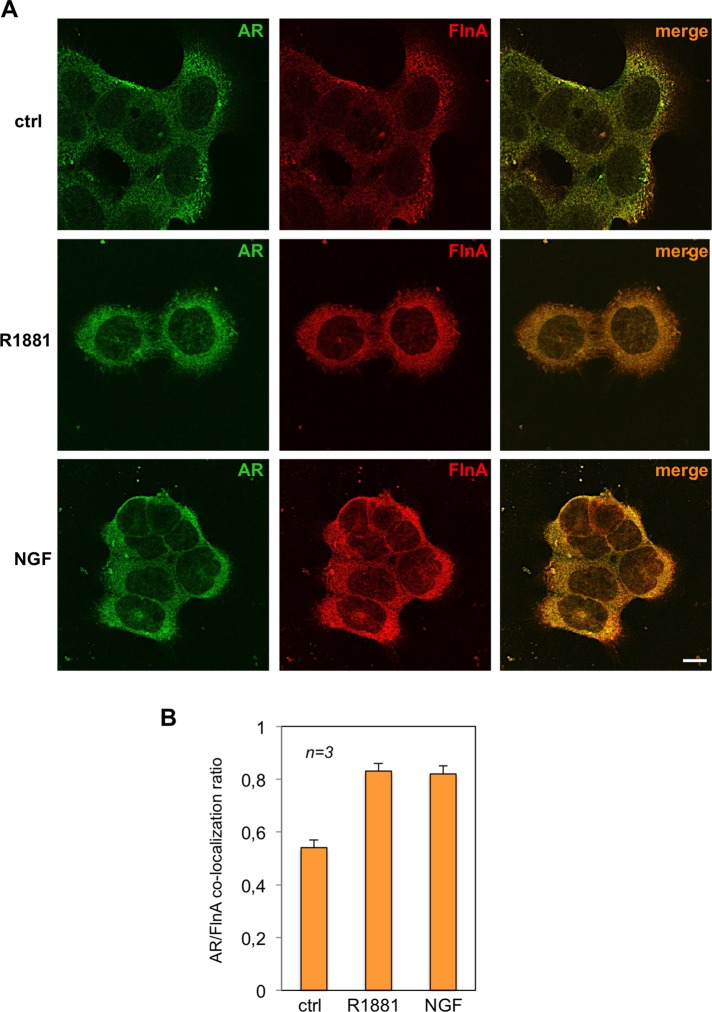 FIGURE 6: