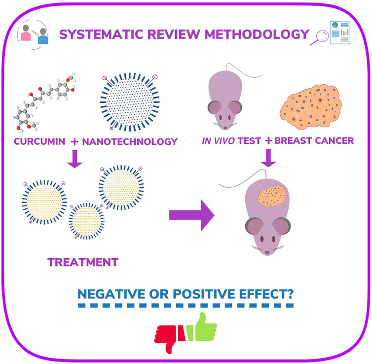 Graphical Abstract