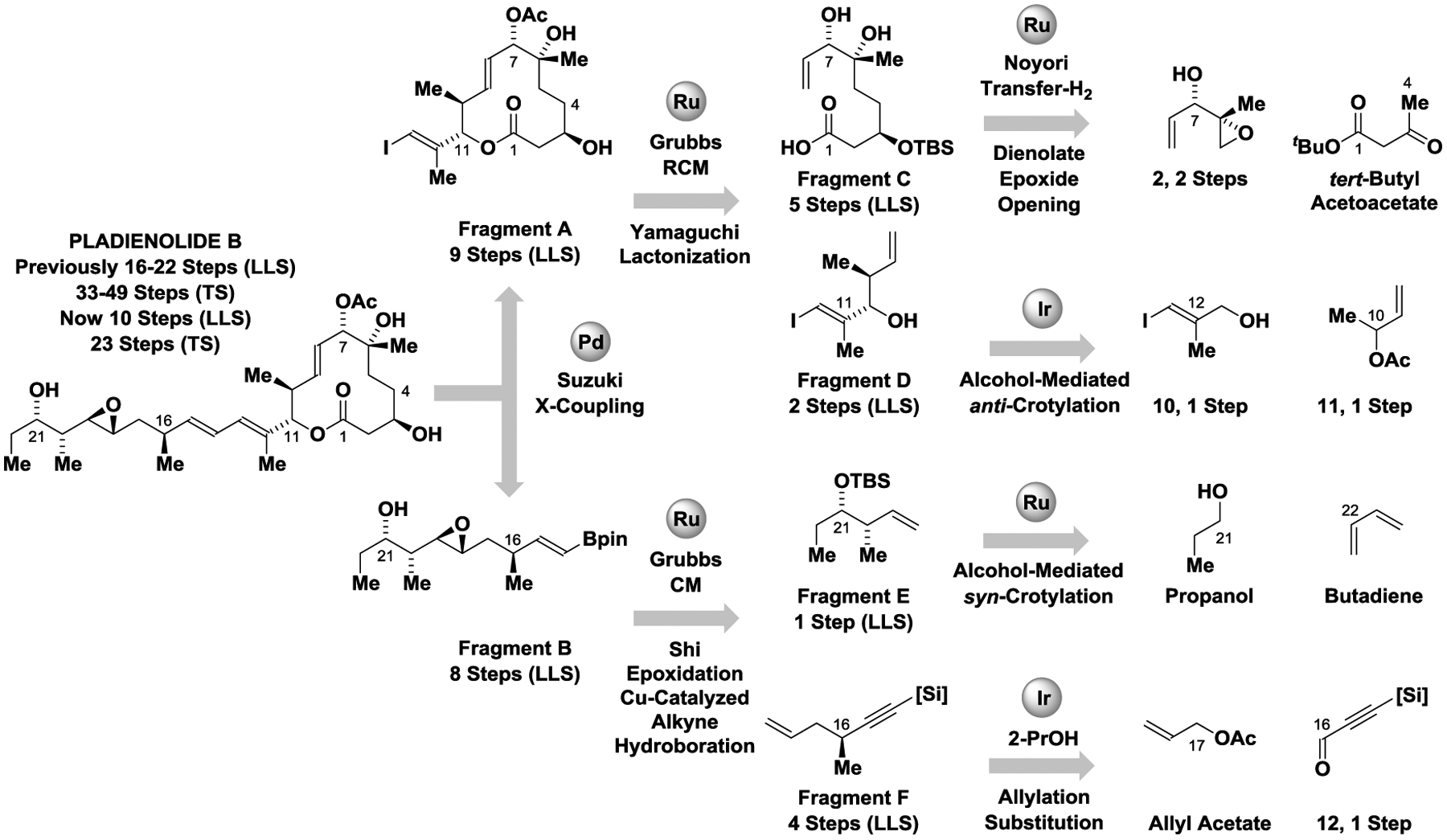 Scheme 1.