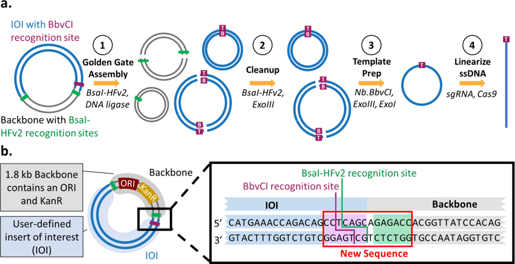 Figure 1: