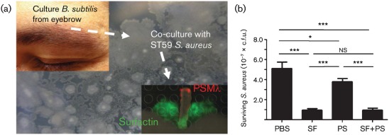 Fig. 3. 