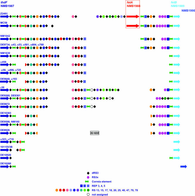 FIG. 2.