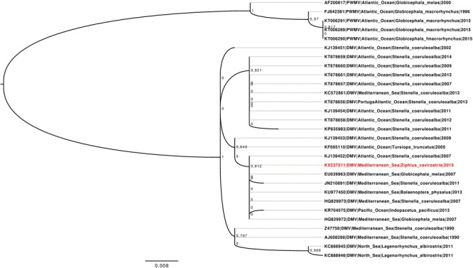 FIGURE 2