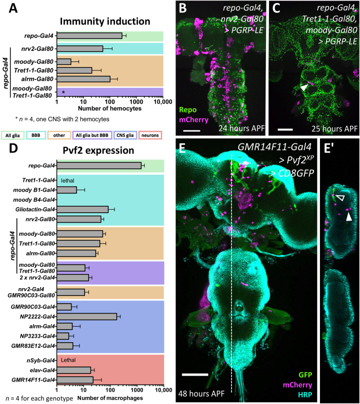 Fig. 6.