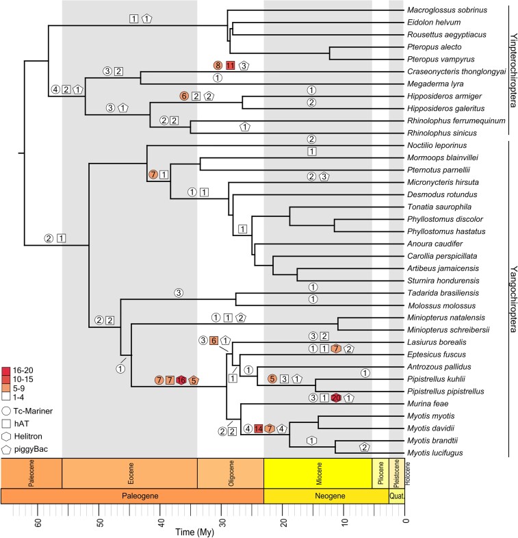 
Fig. 4.