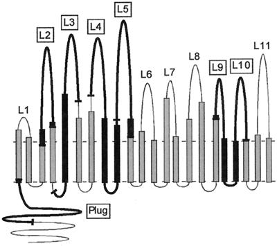 FIG. 1.