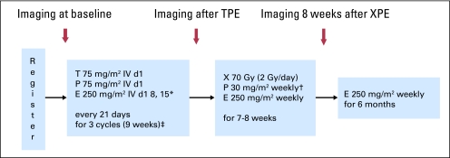 Fig 1.