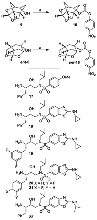 Scheme 3.