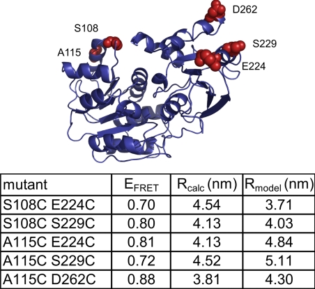 Fig. 4.