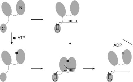 Fig. 5.