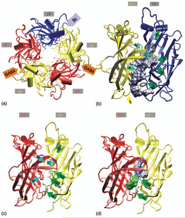 Fig. 2