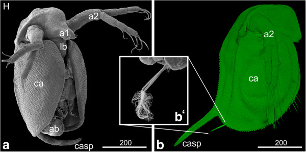 Figure 12