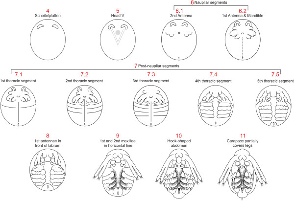 Figure 13