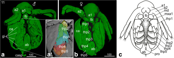 Figure 10