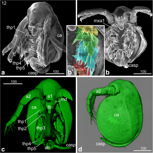 Figure 11