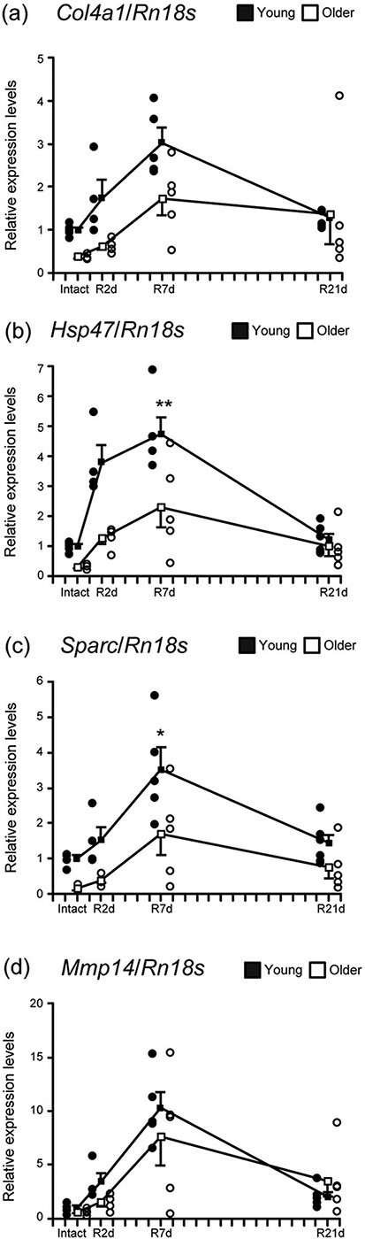 Fig. 3.