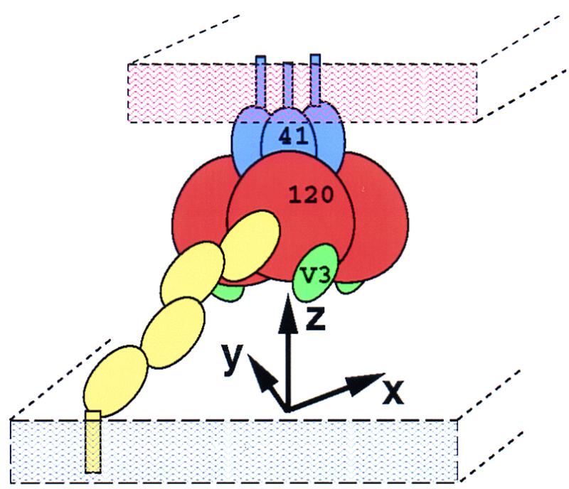 FIG. 1