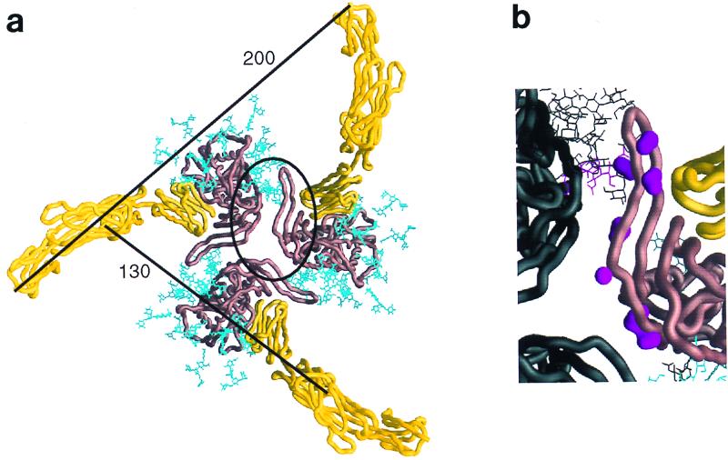 FIG. 7