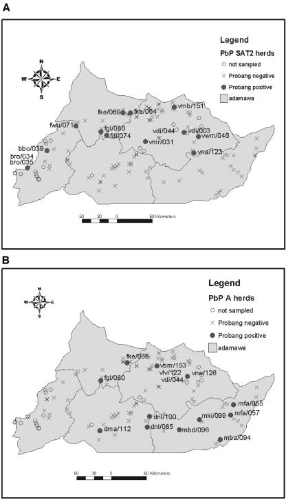 FIG. 2.