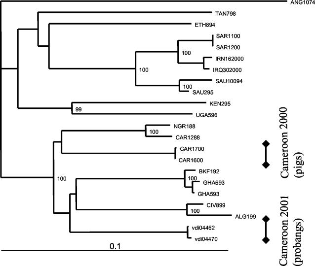 FIG. 5.