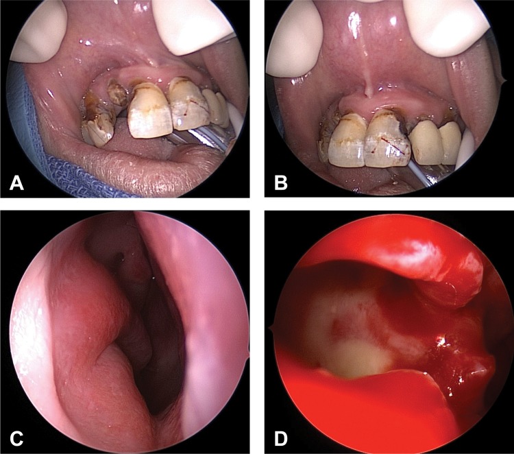 Figure 2.
