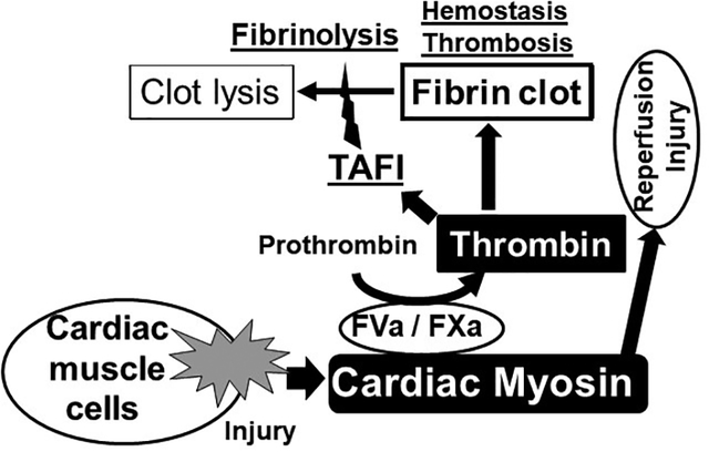 graphic file with name nihms-1562311-f0001.jpg