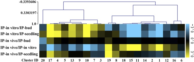 Figure 3.