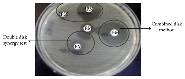 Figure 2