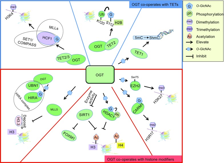 Figure 3