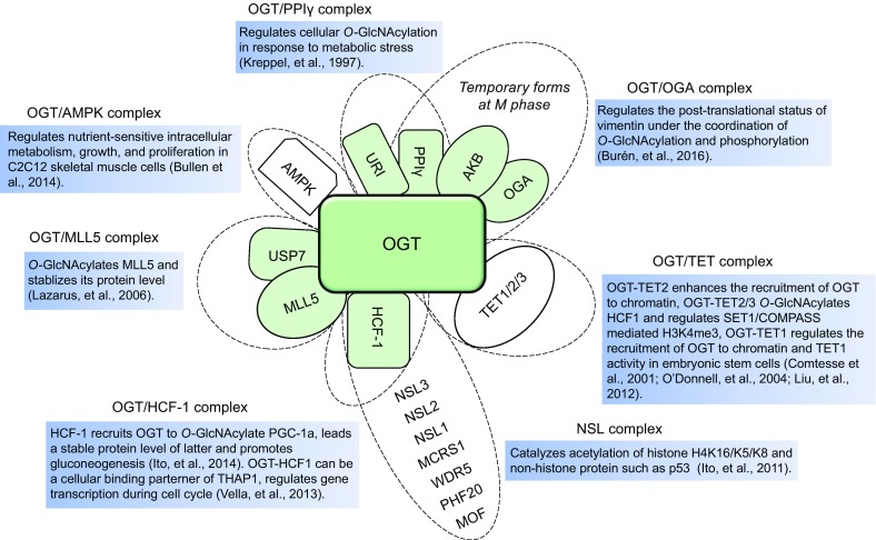 Figure 2