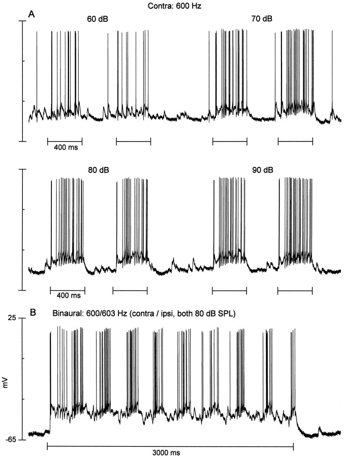 Fig. 12.