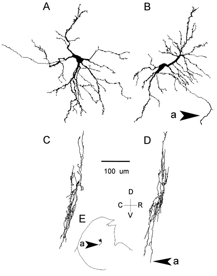 Fig. 16.