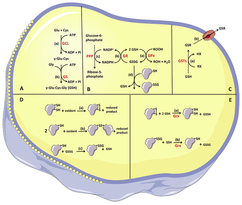 Figure 1: