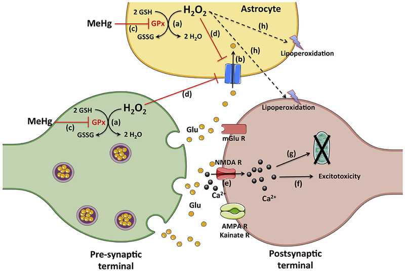 Figure 3: