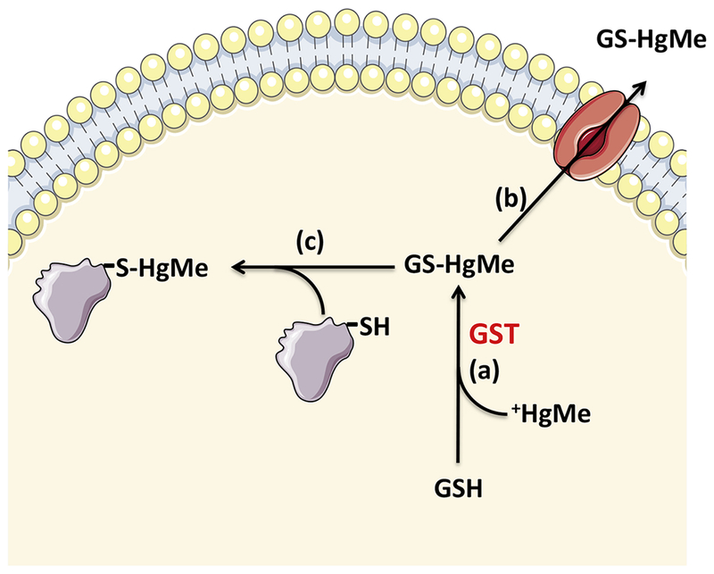 Figure 2: