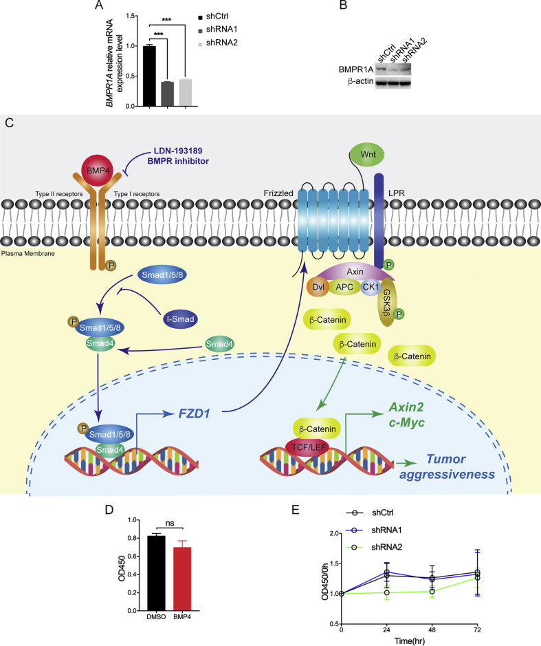 graphic file with name figs1.jpg