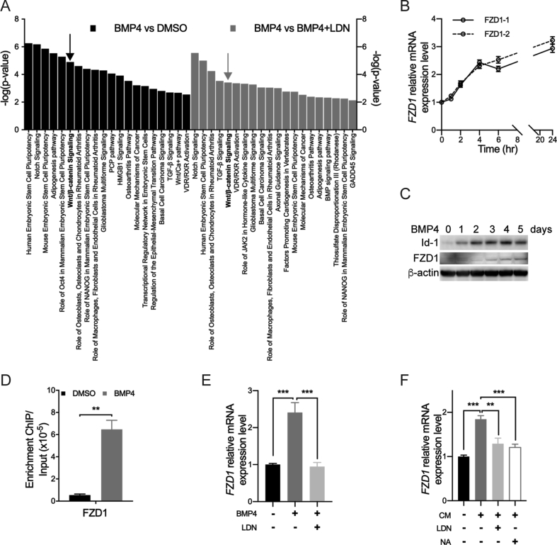 Figure 4