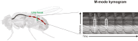 Figure 10