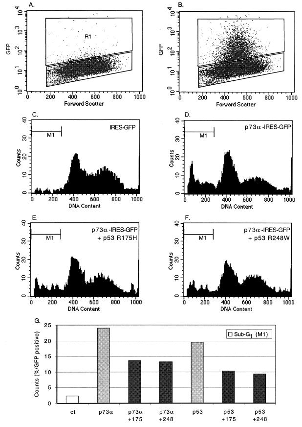 FIG. 7