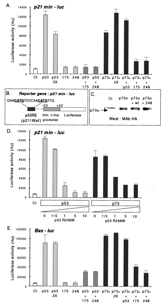 FIG. 5