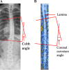 Fig. 6