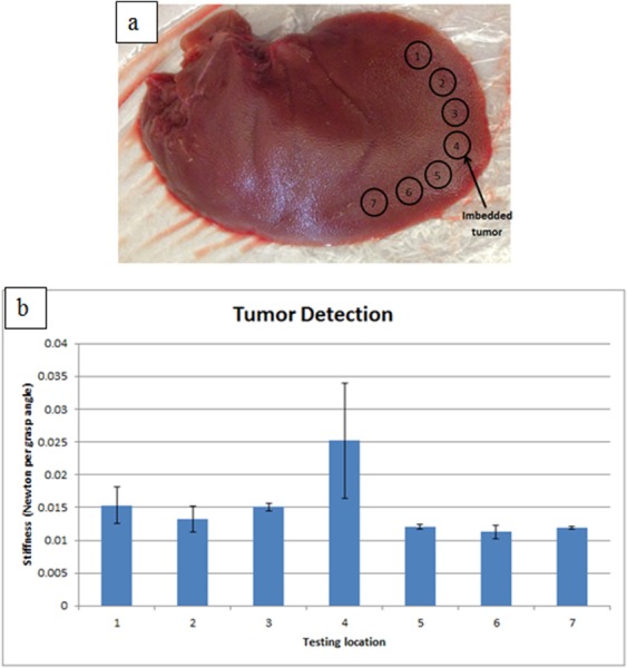 Fig. 16