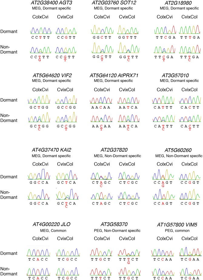 Figure 2—figure supplement 3.