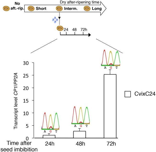 Figure 4—figure supplement 8.