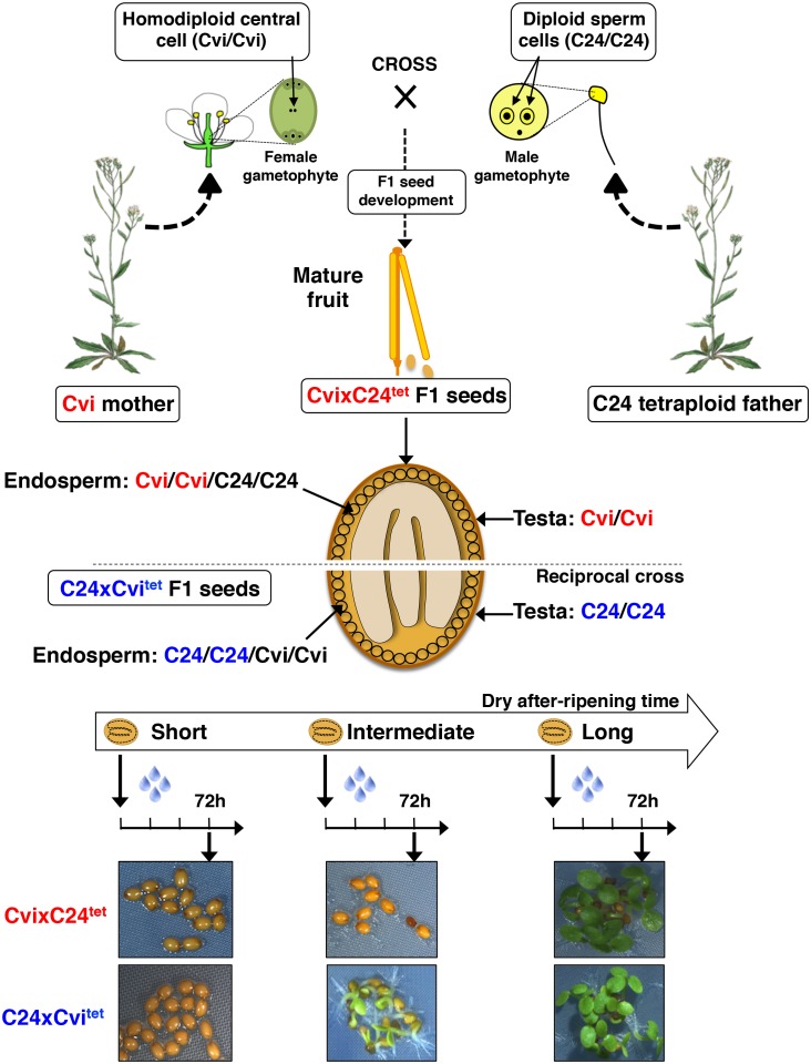 Figure 1—figure supplement 2.